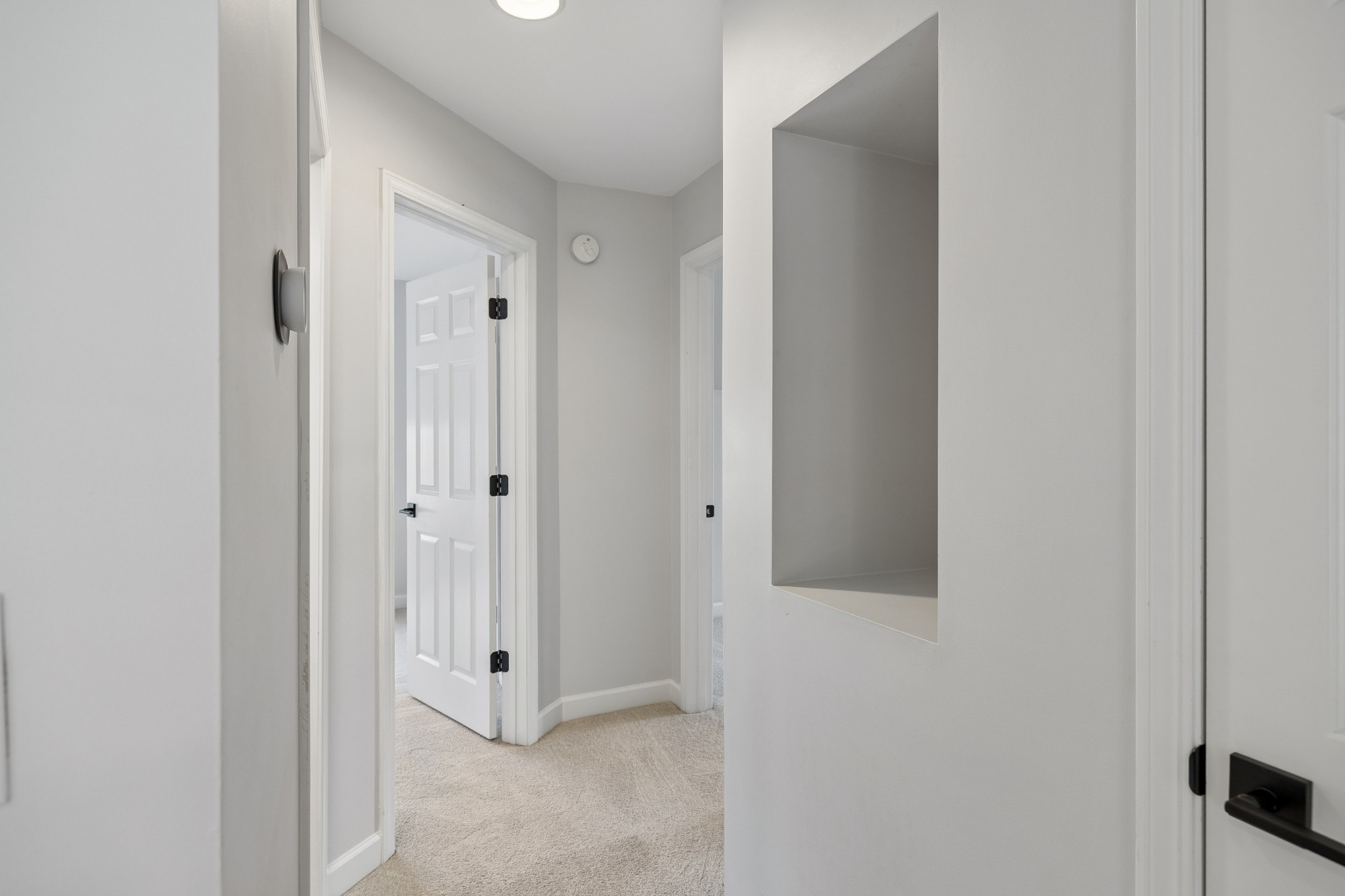 1015 Red Pepper Ridge Spring Hill, TN 37174 - Photo 42 of 67 Gallery Image 42