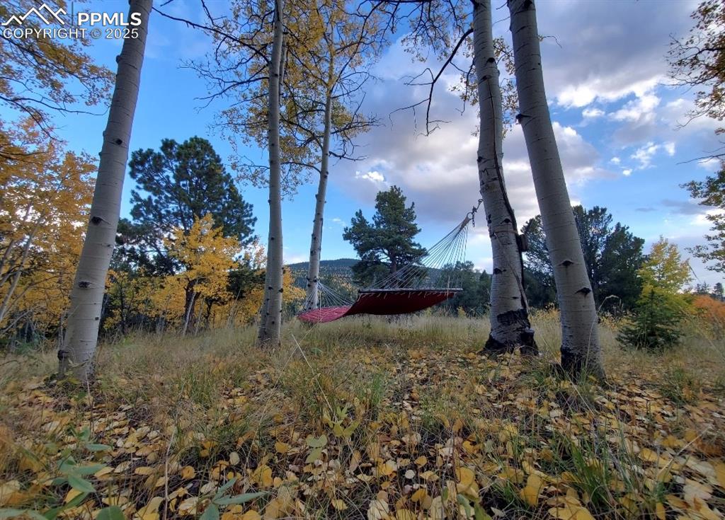 2724 Yorktown Road Cripple Creek, CO 80813 - Photo 1 of 3 a view of a yard