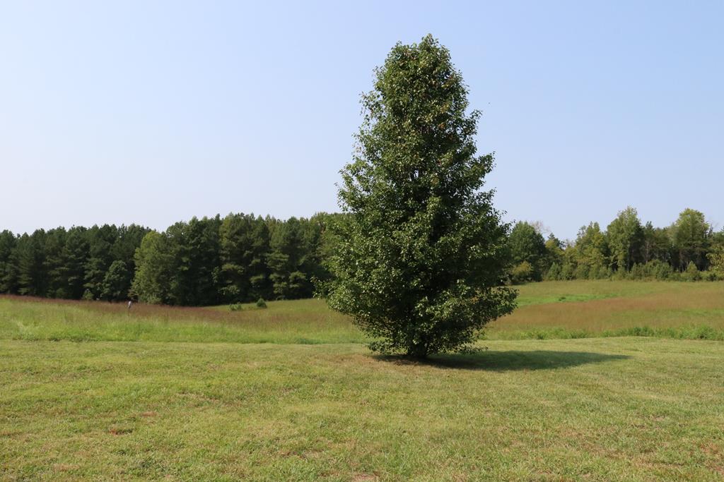 1787 New Grove Road Kenbridge, VA 23944 - Photo 22 of 29 Gallery Image 22