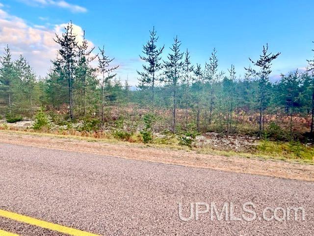 Tbd North Camp Road Ishpeming, MI 49849 - Photo 6 of 17