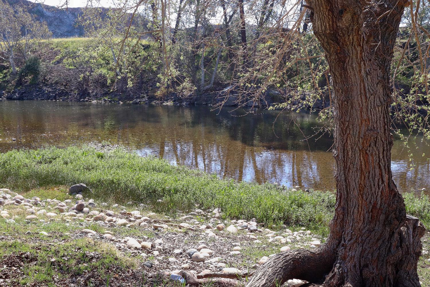 25433 East Trimmer Springs Road, Unit 4 Sanger, CA 93657 - Photo 30 of 33 a view of a garden with a lake view