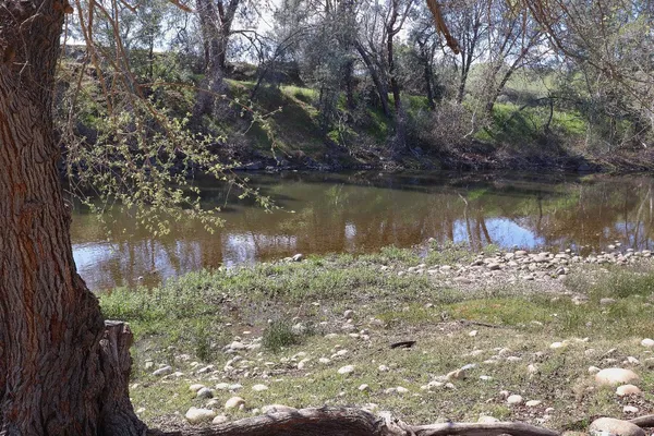 $79,000 | 25433 East Trimmer Springs Road, Unit 4, Sanger, CA 93657