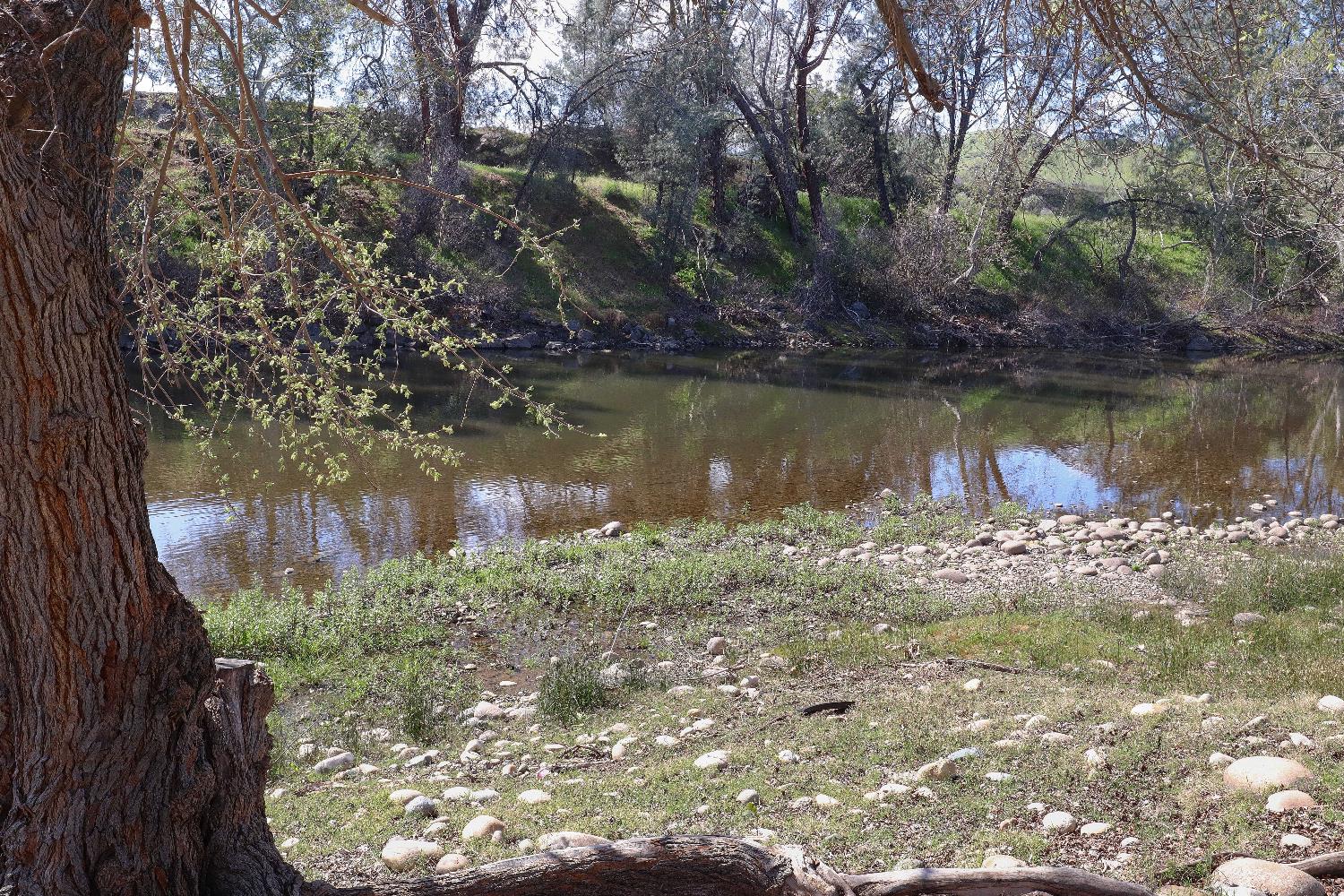 25433 East Trimmer Springs Road, Unit 4 Sanger, CA 93657 - Photo 31 of 33 a view of a lake with a tree