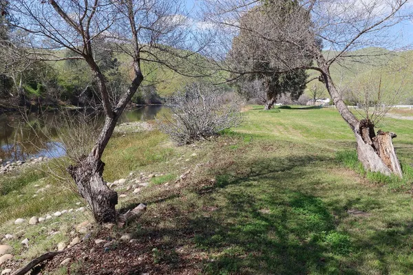 $79,000 | 25433 East Trimmer Springs Road, Unit 4, Sanger, CA 93657