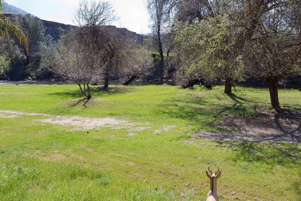 $79,000 | 25433 East Trimmer Springs Road, Unit 4, Sanger, CA 93657