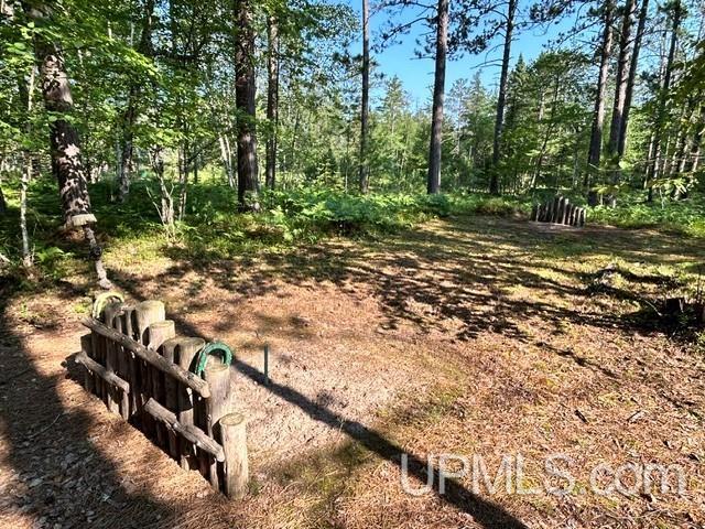 Lot 62 Little Rice Lake Road Lake Linden, MI 49945 - Photo 30 of 52 Gallery Image 30