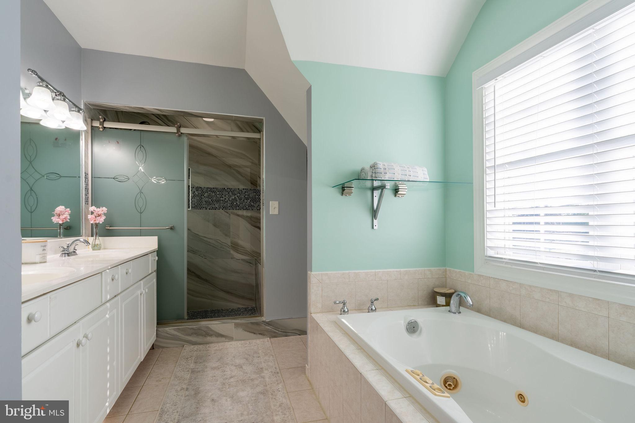 25325 Woodfield Road Damascus, MD 20872 - Photo 43 of 58 a bathroom with a tub sink and mirror
