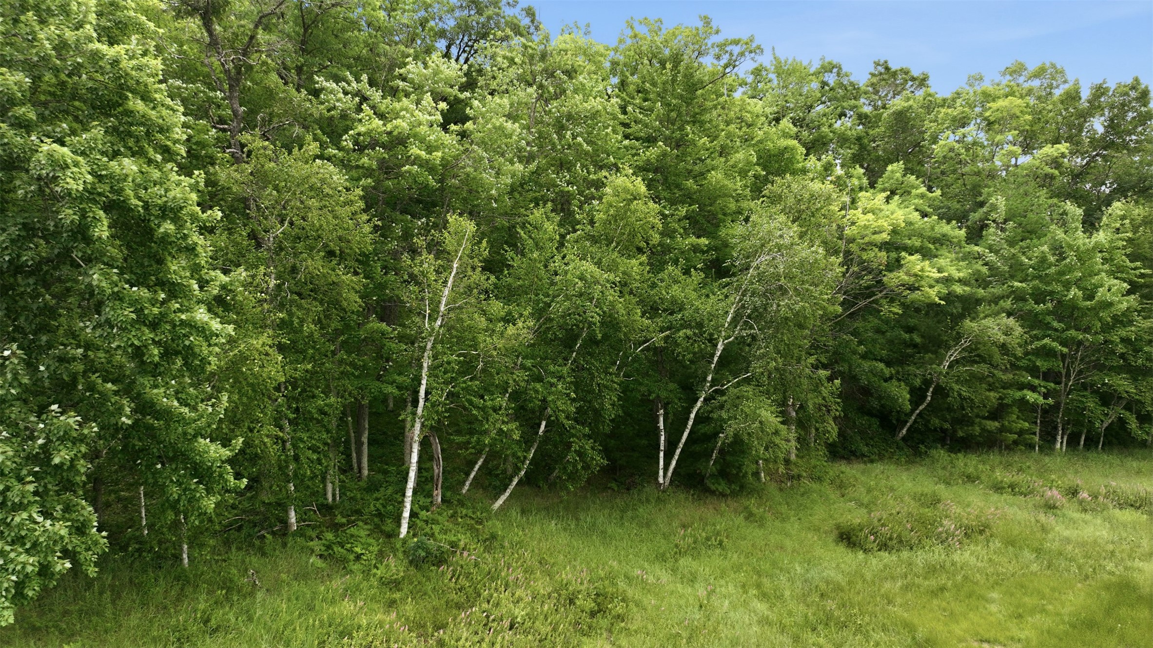 0 Goose Lake Road Spooner, WI 54801 - Photo 5 of 28