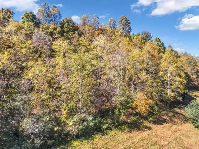 a bird view of a house