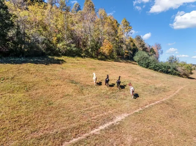 a view of lake view and mountain