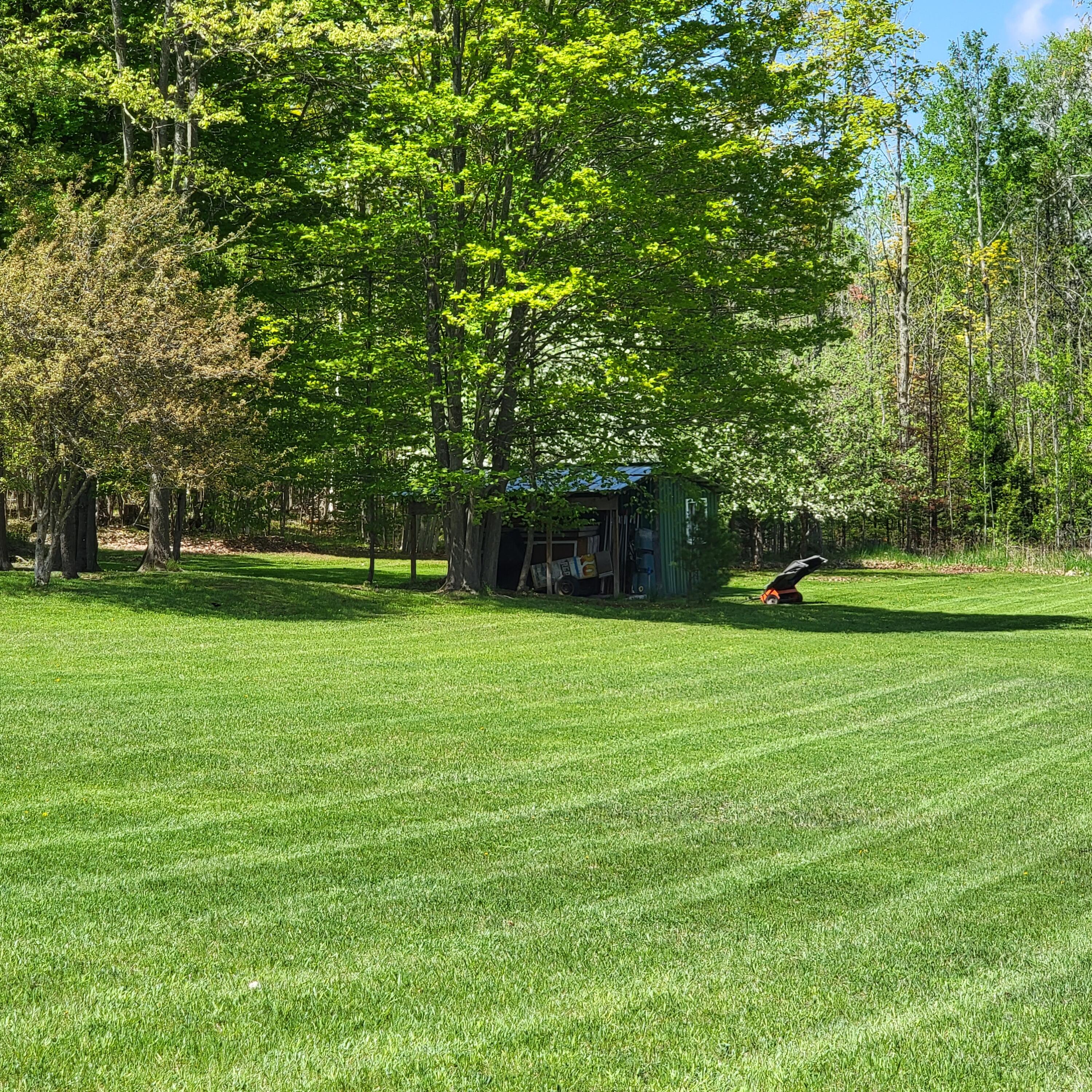 8155 Tucker Road Onaway, MI 49765 - Photo 49 of 57 Gallery Image 49