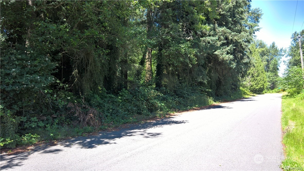 a view of a road with a trees