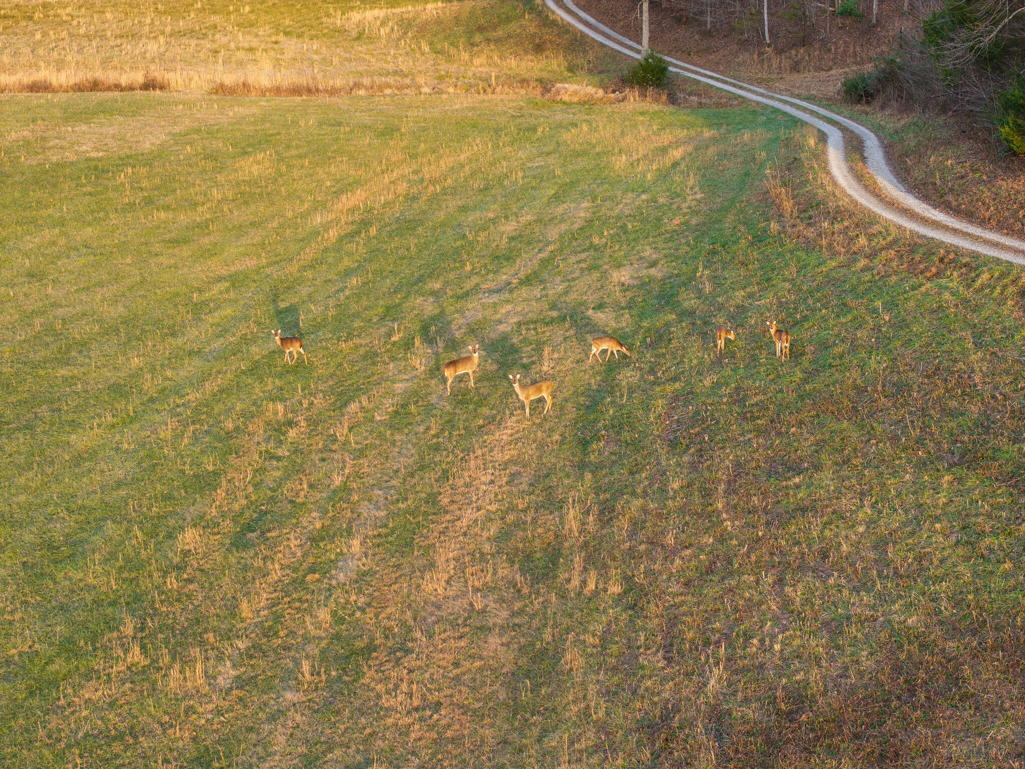 684 Martin Cemetary Road Oneida, KY 40972 - Photo 7 of 96 87-web-or-mls-DJI_20251217163951_0100_D