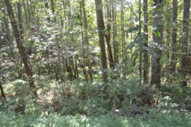 2121 Riley Creek Road Whitleyville, TN 38588 - Photo 6 of 21 Gallery Image 6