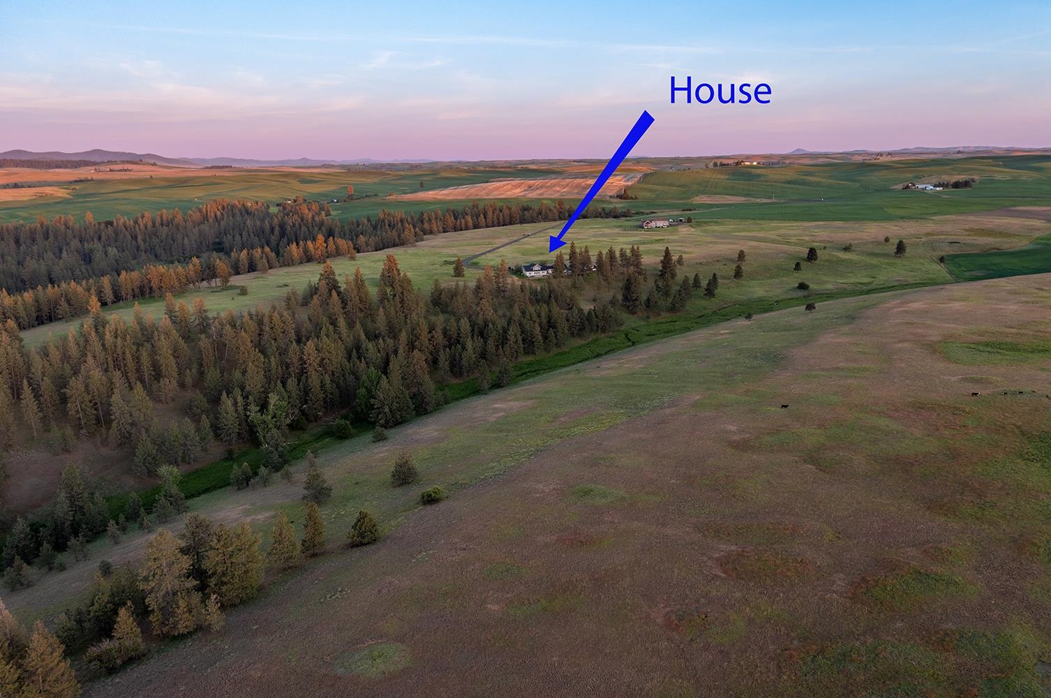28018 South North Kentuck Trails Road Spangle, WA 99031 - Photo 26 of 34 Gallery Image 26