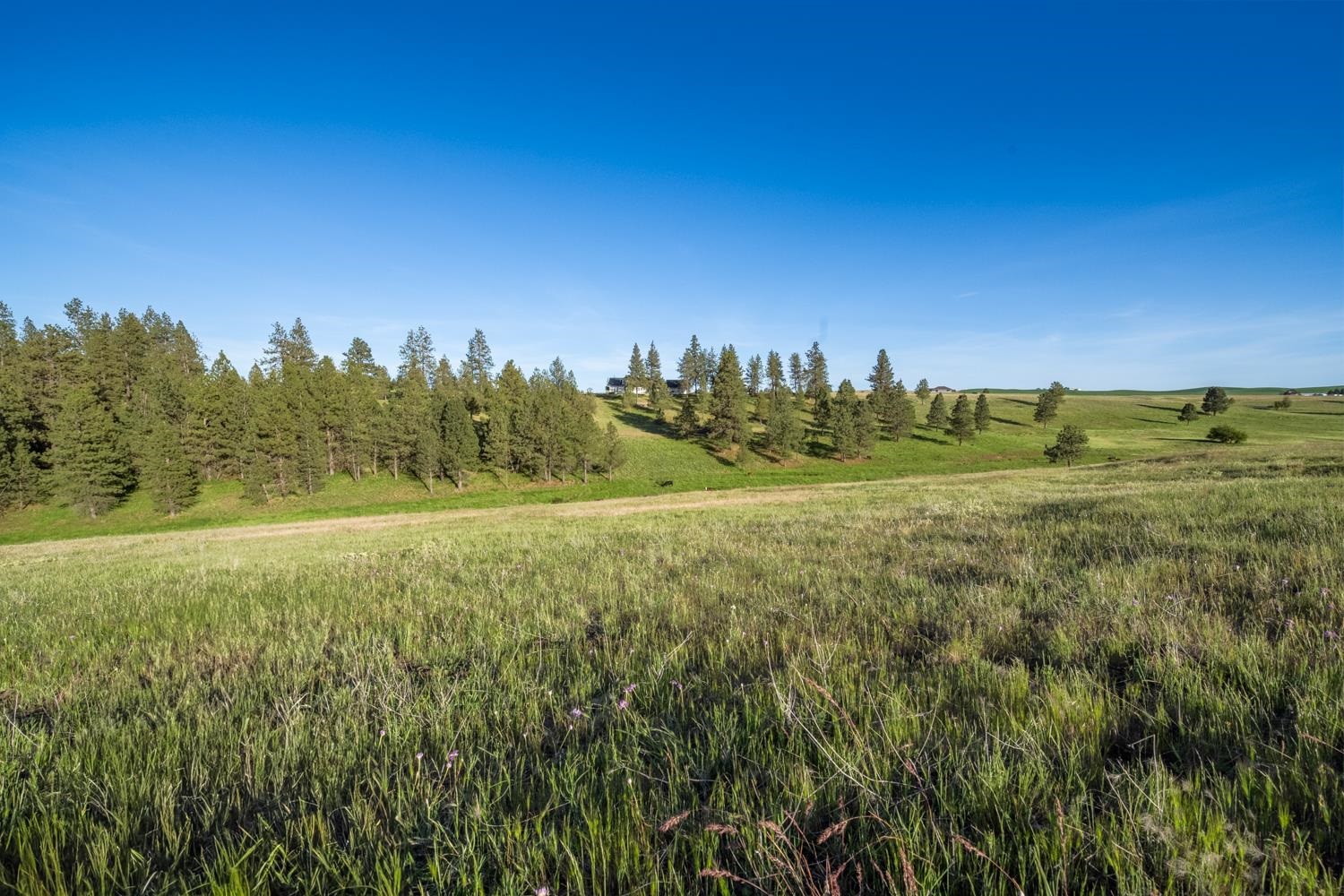 28018 South North Kentuck Trails Road Spangle, WA 99031 - Photo 29 of 34 Gallery Image 29