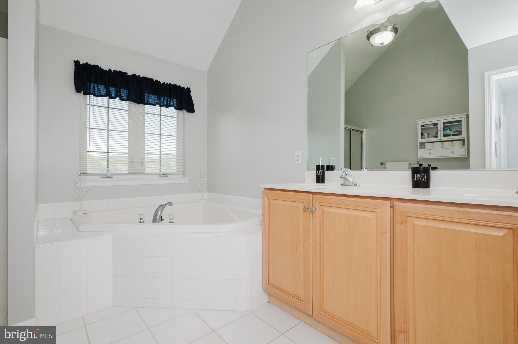 35 South View Road Rising Sun, MD 21911 - Photo 43 of 93 Primary bathroom