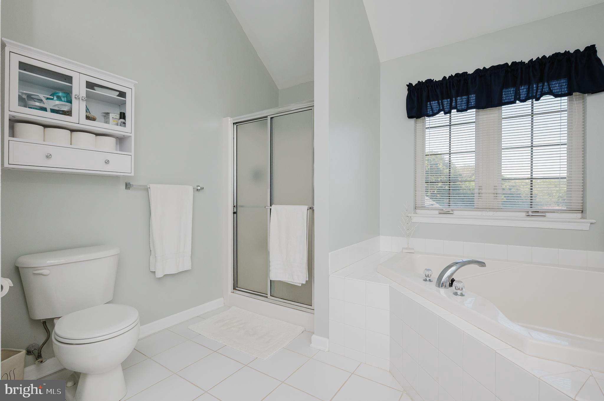 35 South View Road Rising Sun, MD 21911 - Photo 44 of 93 Soaking tub/separate shower