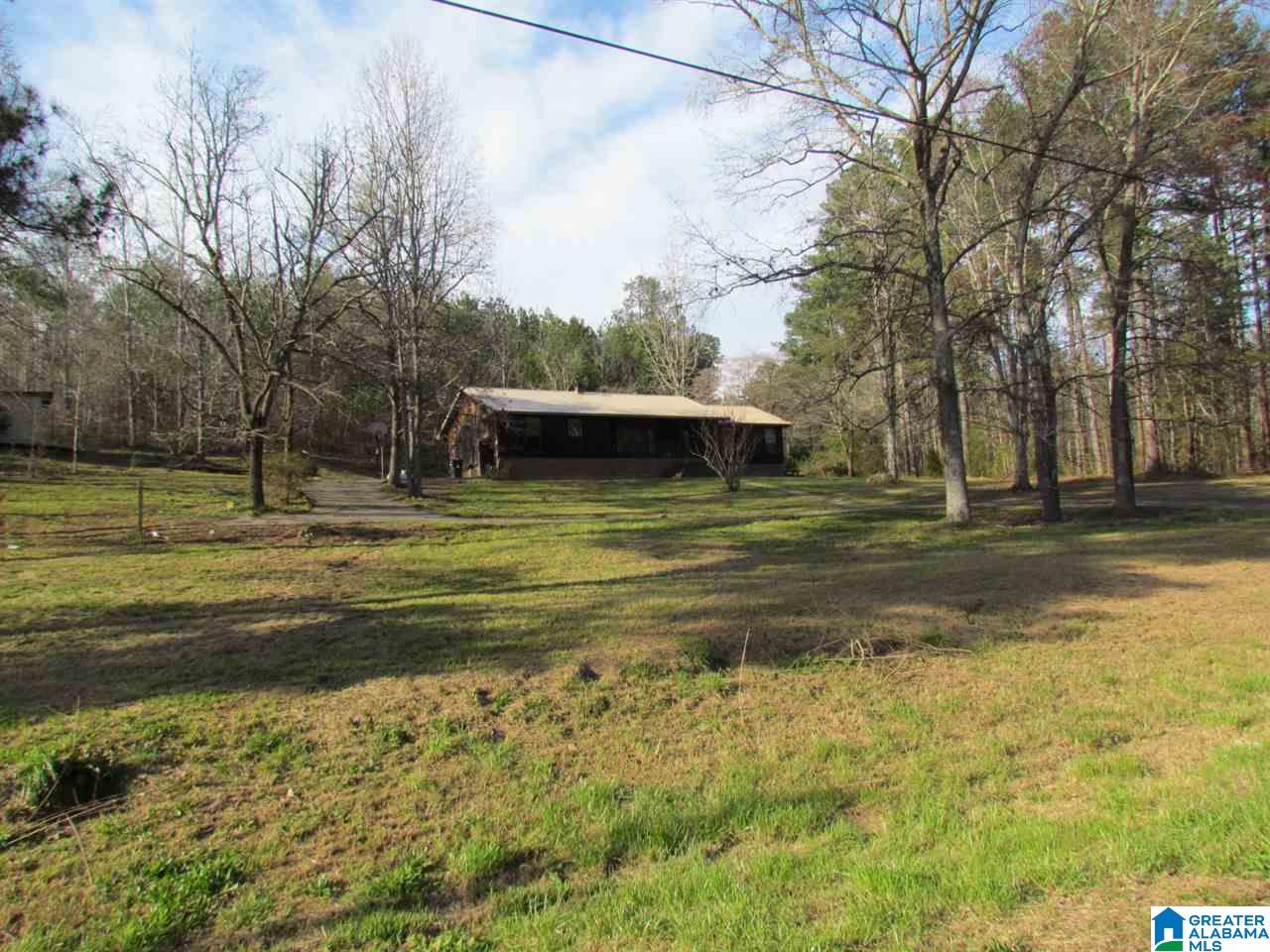 10907 New Liberty Road Piedmont, AL 36272 - Photo 45 of 50