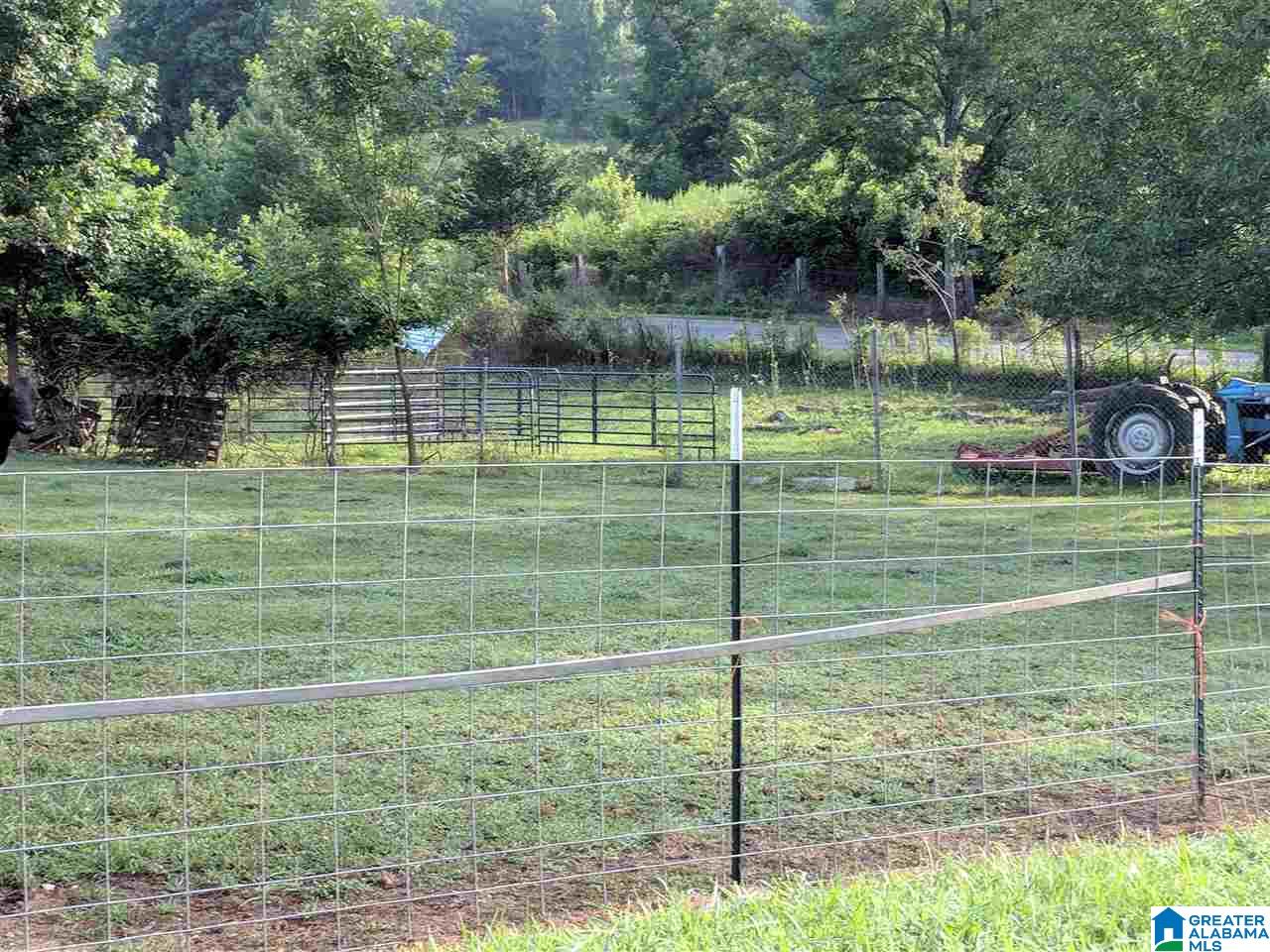 881 Douglas Lane Oneonta, AL 35121 - Photo 9 of 27