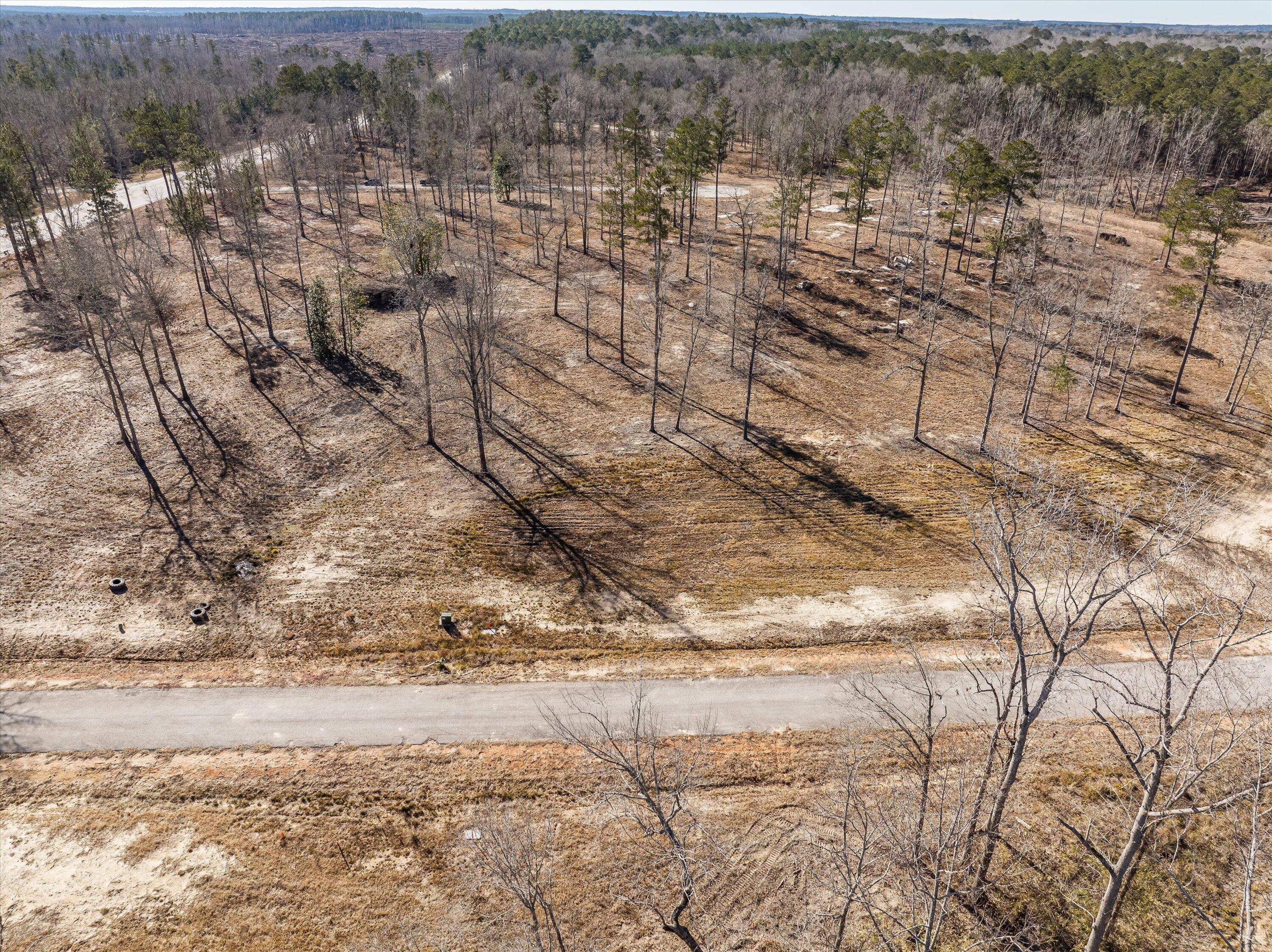 141 Alcovy Road Thomson, GA 30824 - Photo 1 of 5 45-DJI_0728-HDR