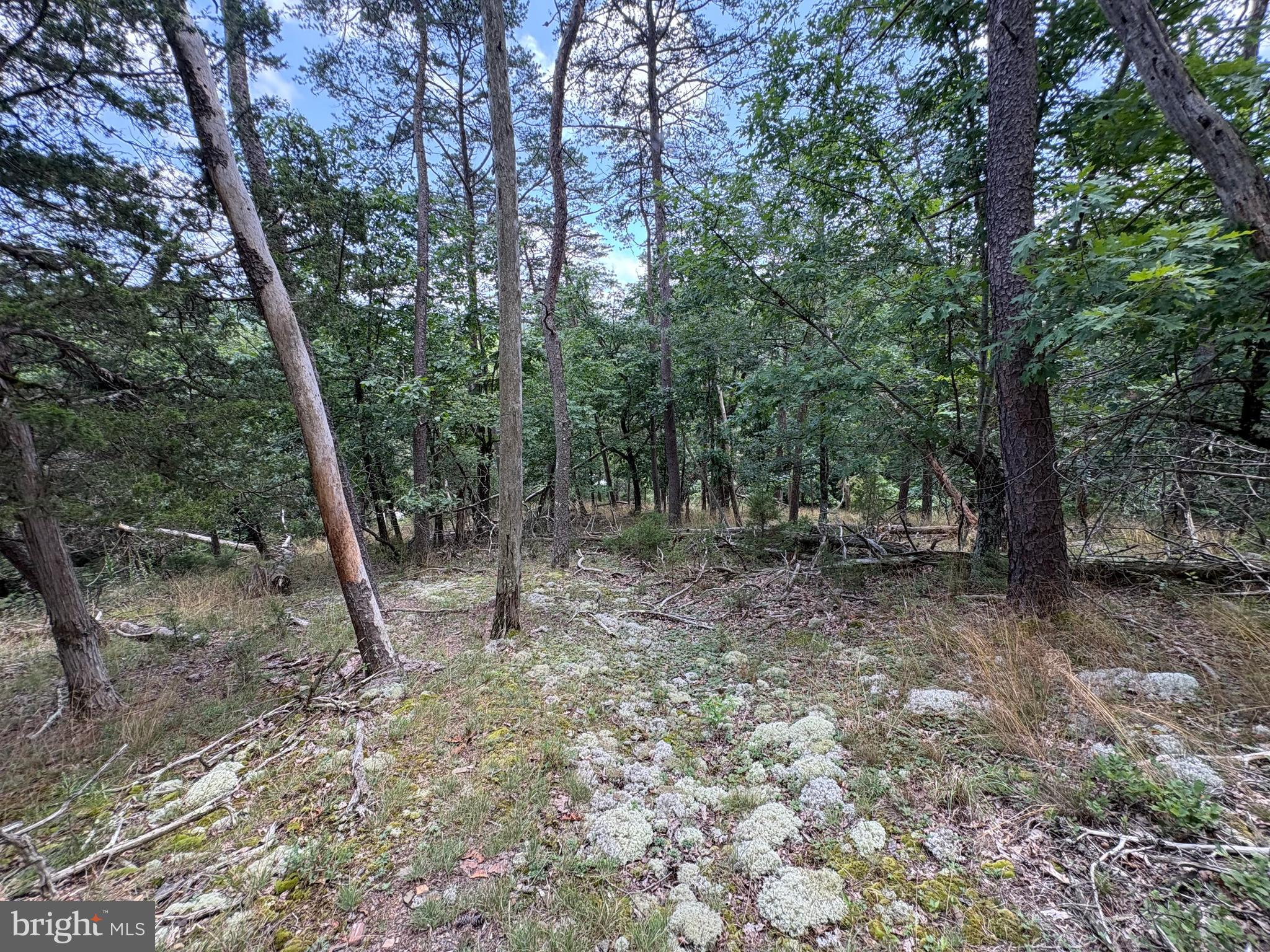 7313 Little Cacapon Road Romney, WV 26757 - Photo 13 of 18