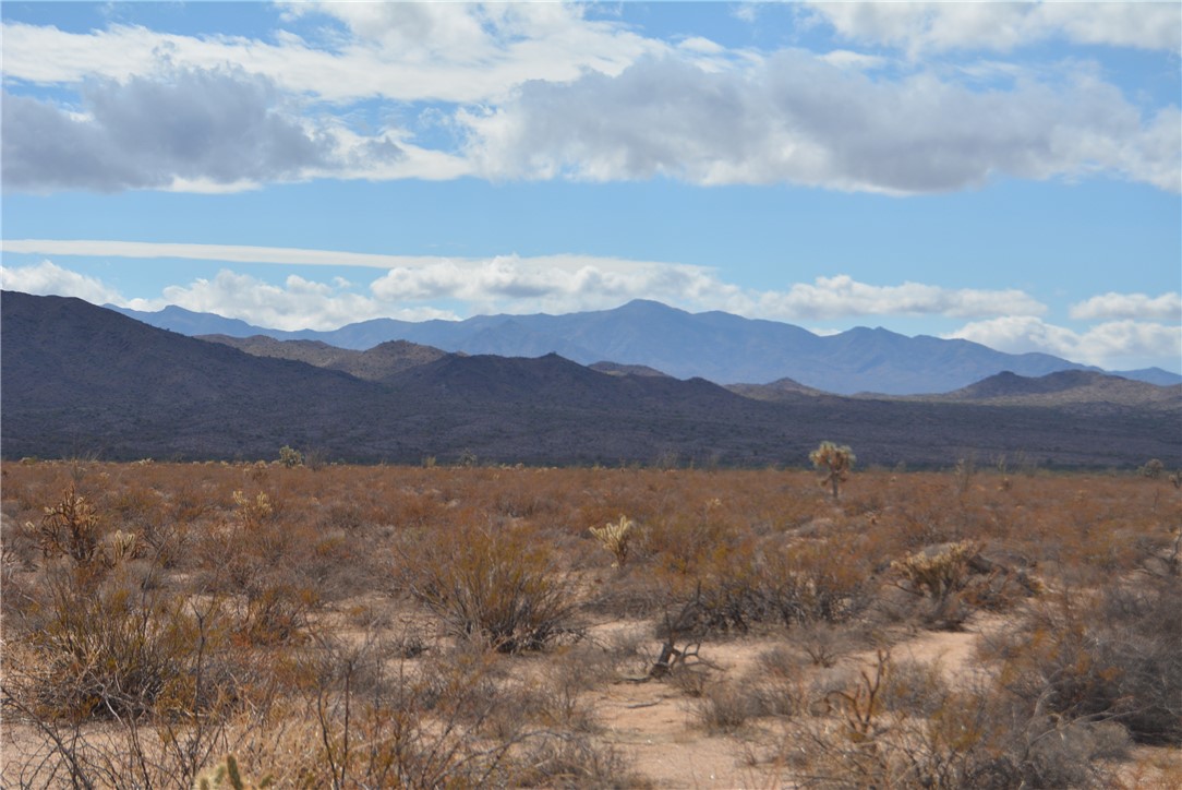 207-35-005 South Arlington Road Yucca, AZ 86438 - Photo 28 of 92