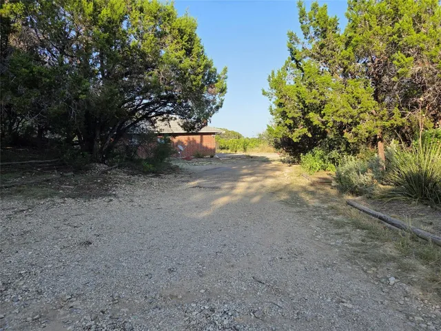 a view of a yard with a tree