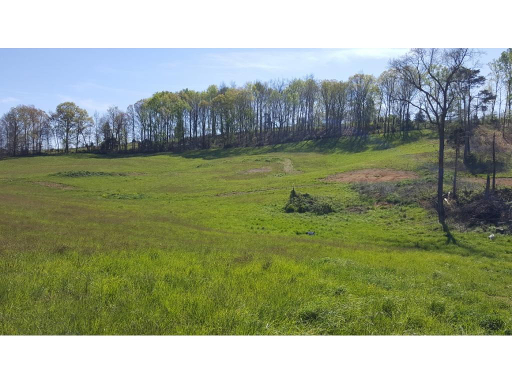 770 Jockey Road Chuckey, TN 37641 - Photo 21 of 26 More Views