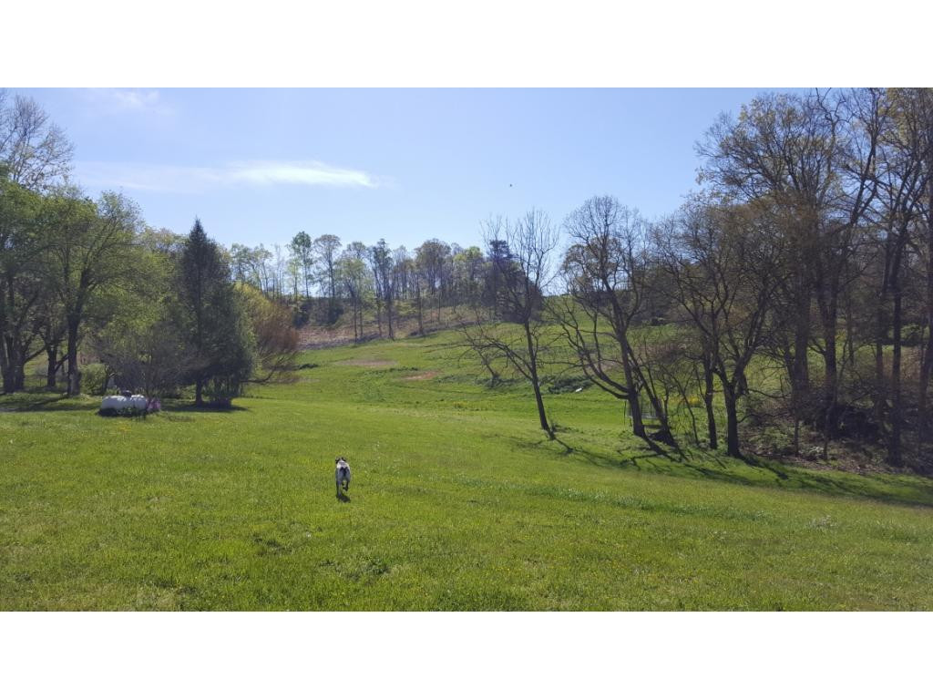 770 Jockey Road Chuckey, TN 37641 - Photo 22 of 26 Beautiful