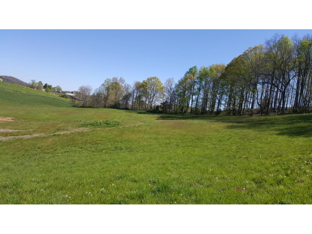 770 Jockey Road Chuckey, TN 37641 - Photo 23 of 26 Beautiful Land
