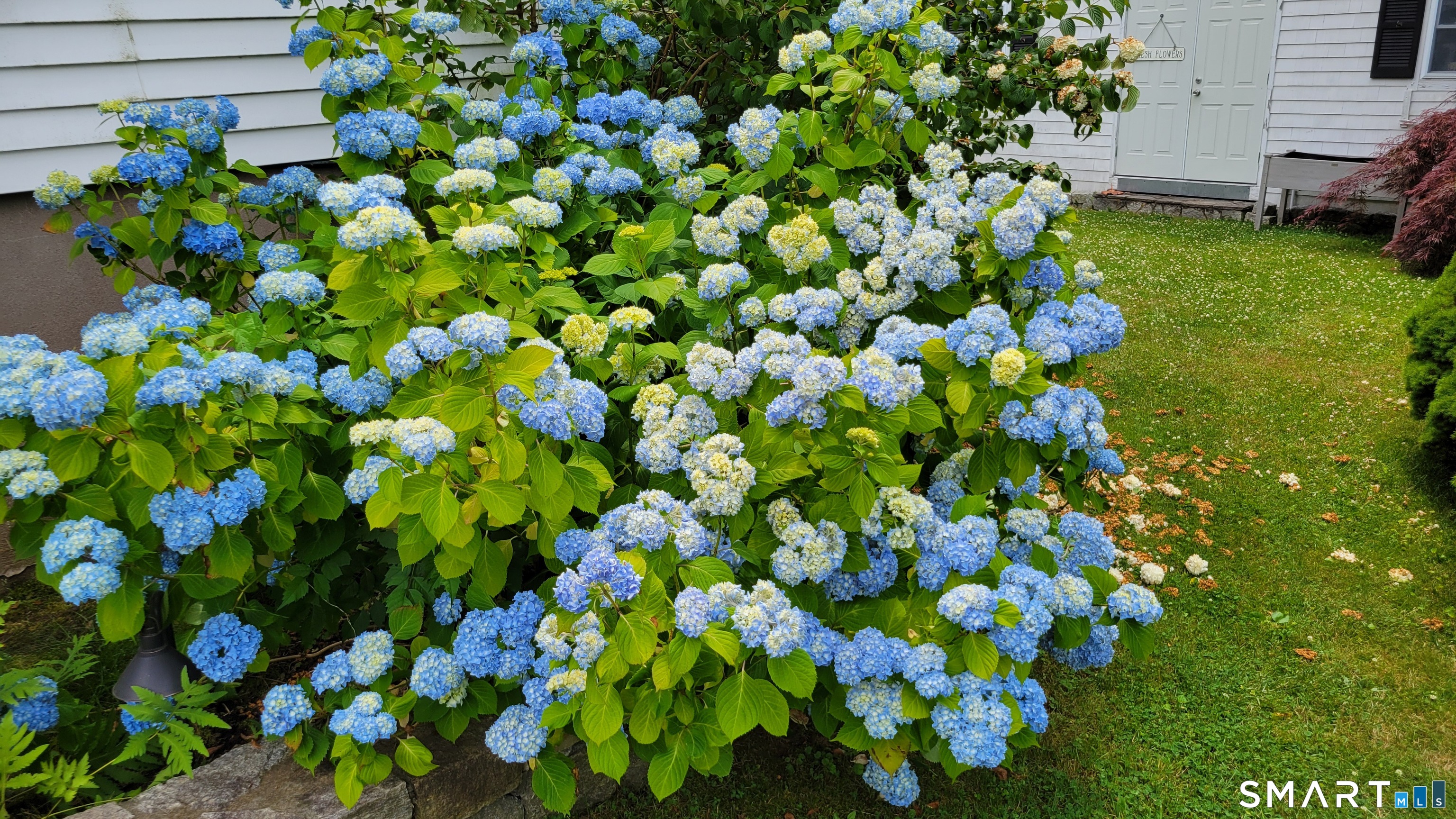 69 Denison Road Middletown, CT 06457 - Photo 38 of 42