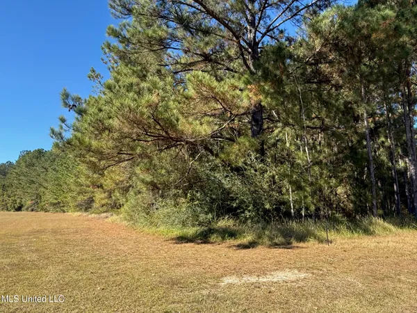 $35,000 | 6.25-ac Knobtown Road, State Line, MS 39362