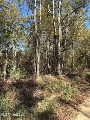 $35,000 | 6.25-ac Knobtown Road, State Line, MS 39362