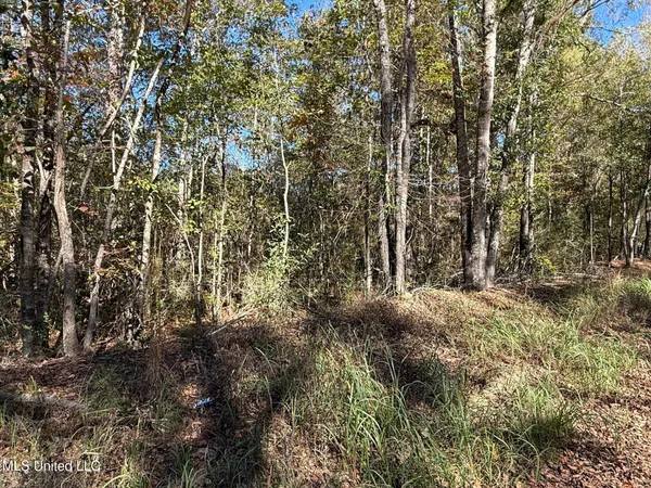 $35,000 | 6.25-ac Knobtown Road, State Line, MS 39362