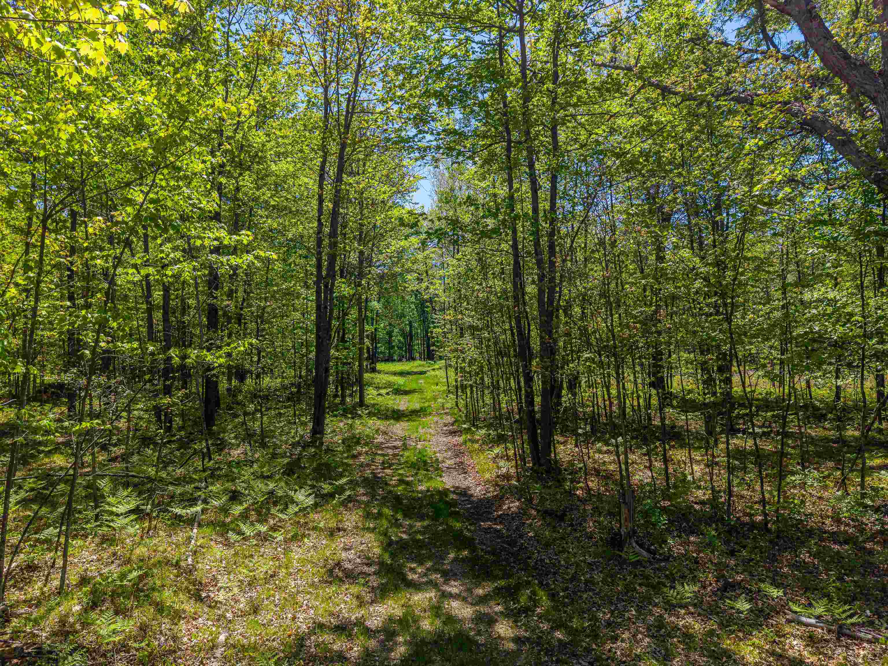 240 Hilts Road Gladwin, MI 48624 - Photo 69 of 97