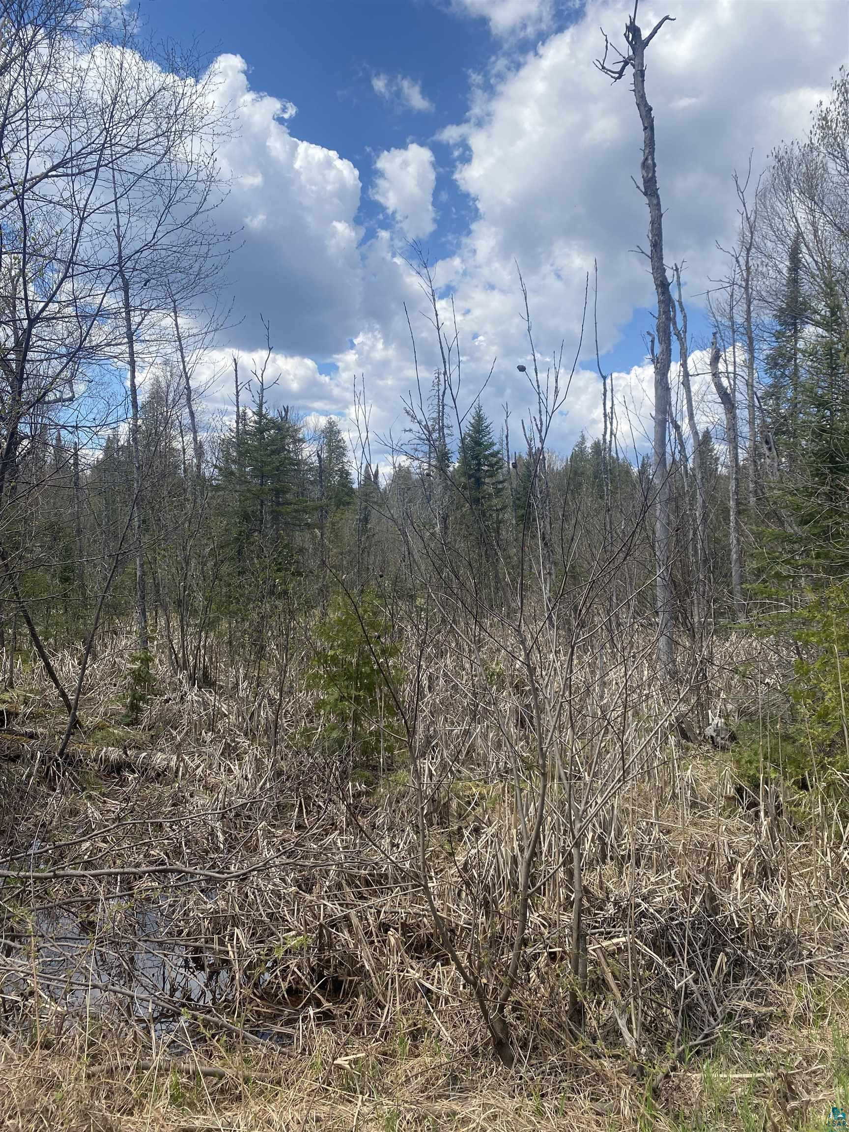 X Gods Wilderness Road Silver Bay, MN 55614 - Photo 6 of 11 Gallery Image 6