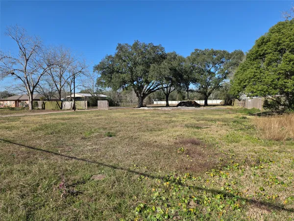 a view of a yard with a trees