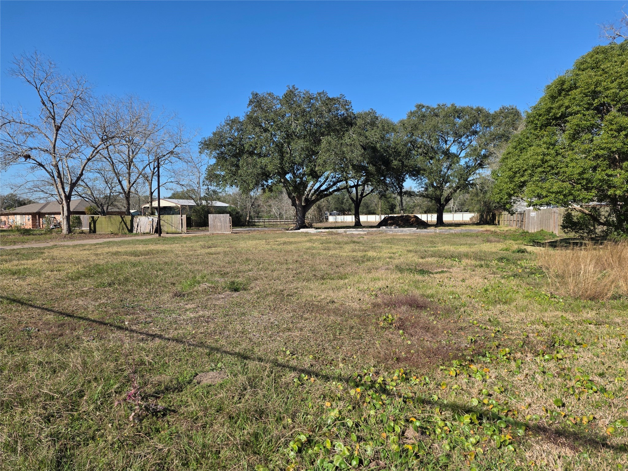 414 Gordy Road Bacliff, TX 77518 - Photo 11 of 12 a view of a yard with a trees