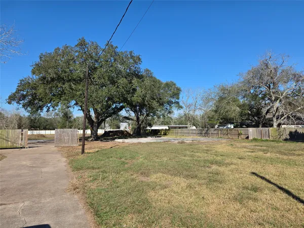 a view of a yard with a tree