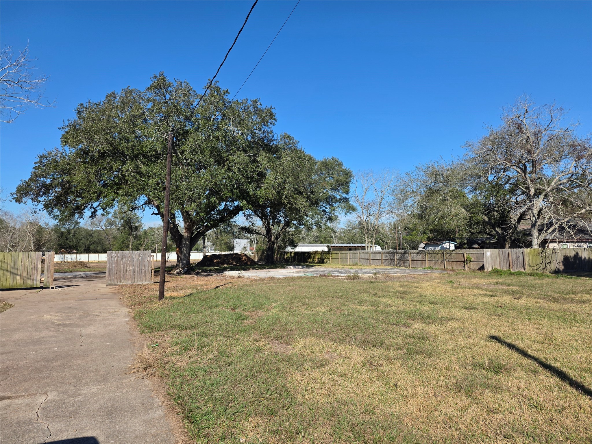 414 Gordy Road Bacliff, TX 77518 - Photo 12 of 12 a view of a yard with a tree