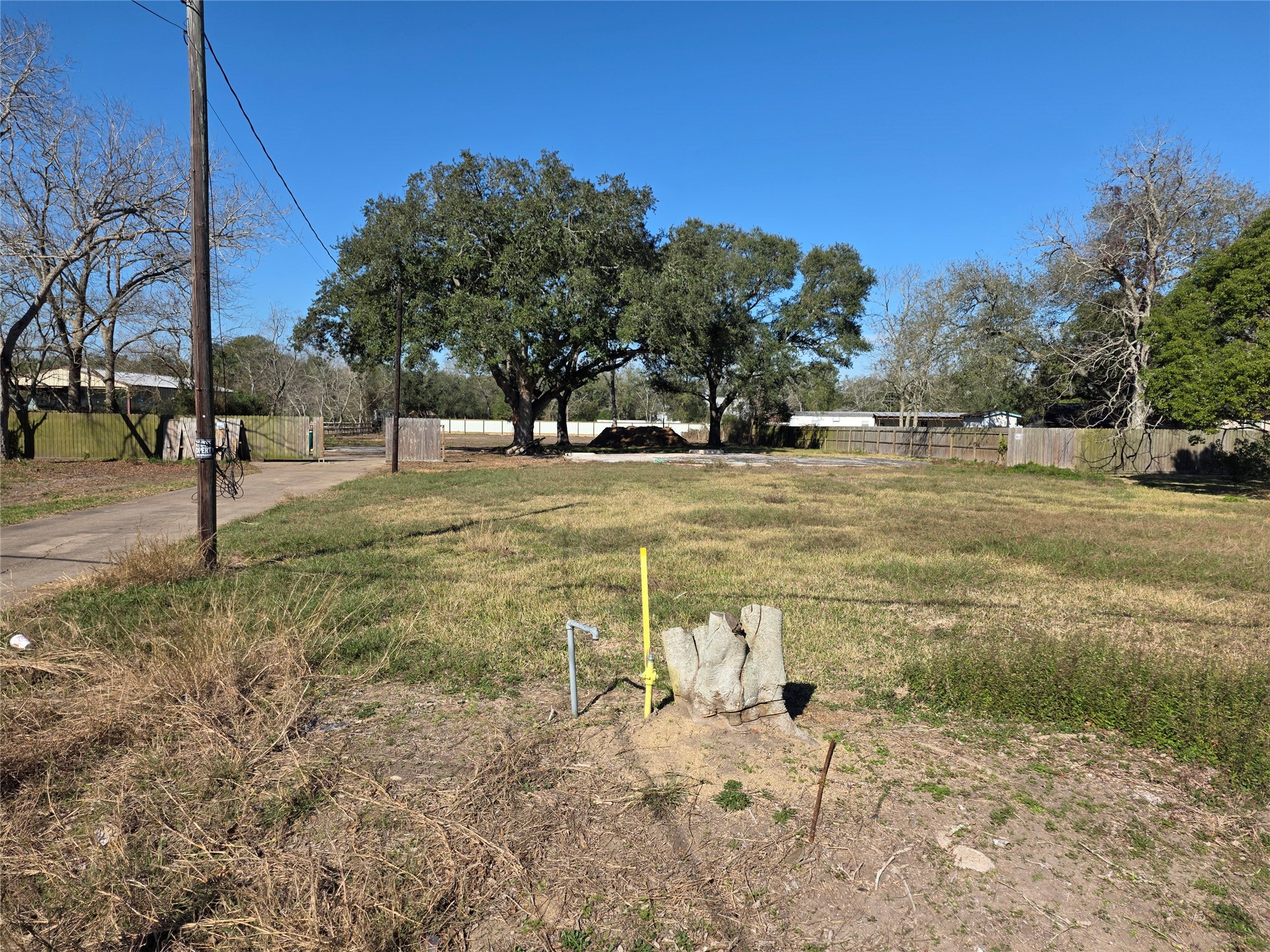 414 Gordy Road Bacliff, TX 77518 - Photo 2 of 12 a view of yard with tree