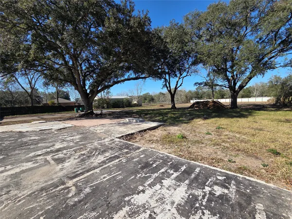a view of a yard with a tree