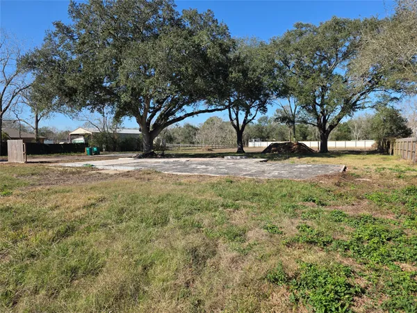 a view of yard with trees