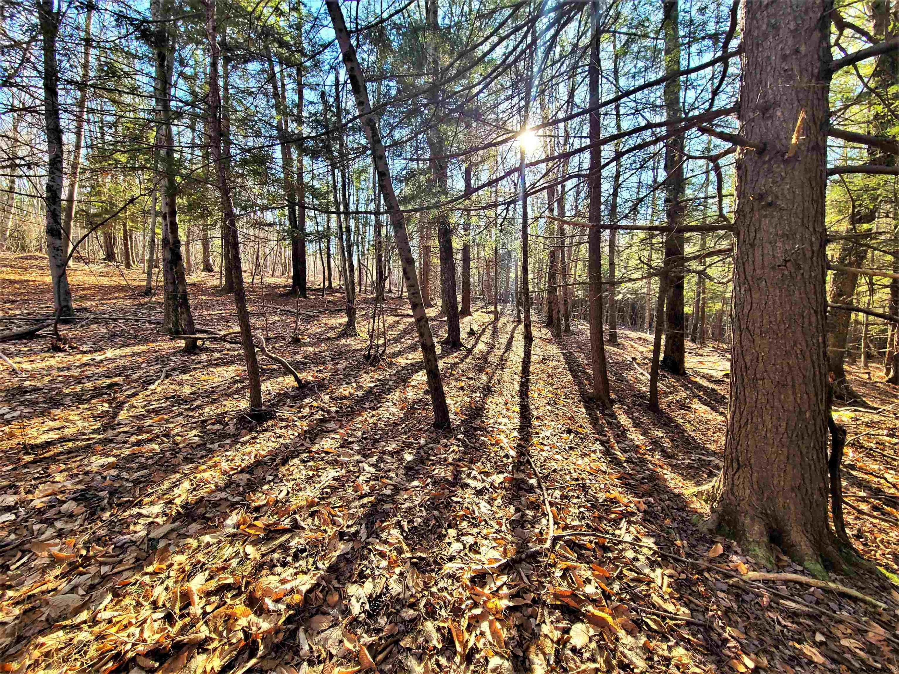 Tbd Tbd Fairweather Road Swan Lake, NY 12783 - Photo 11 of 21 a view of outdoor space with deck