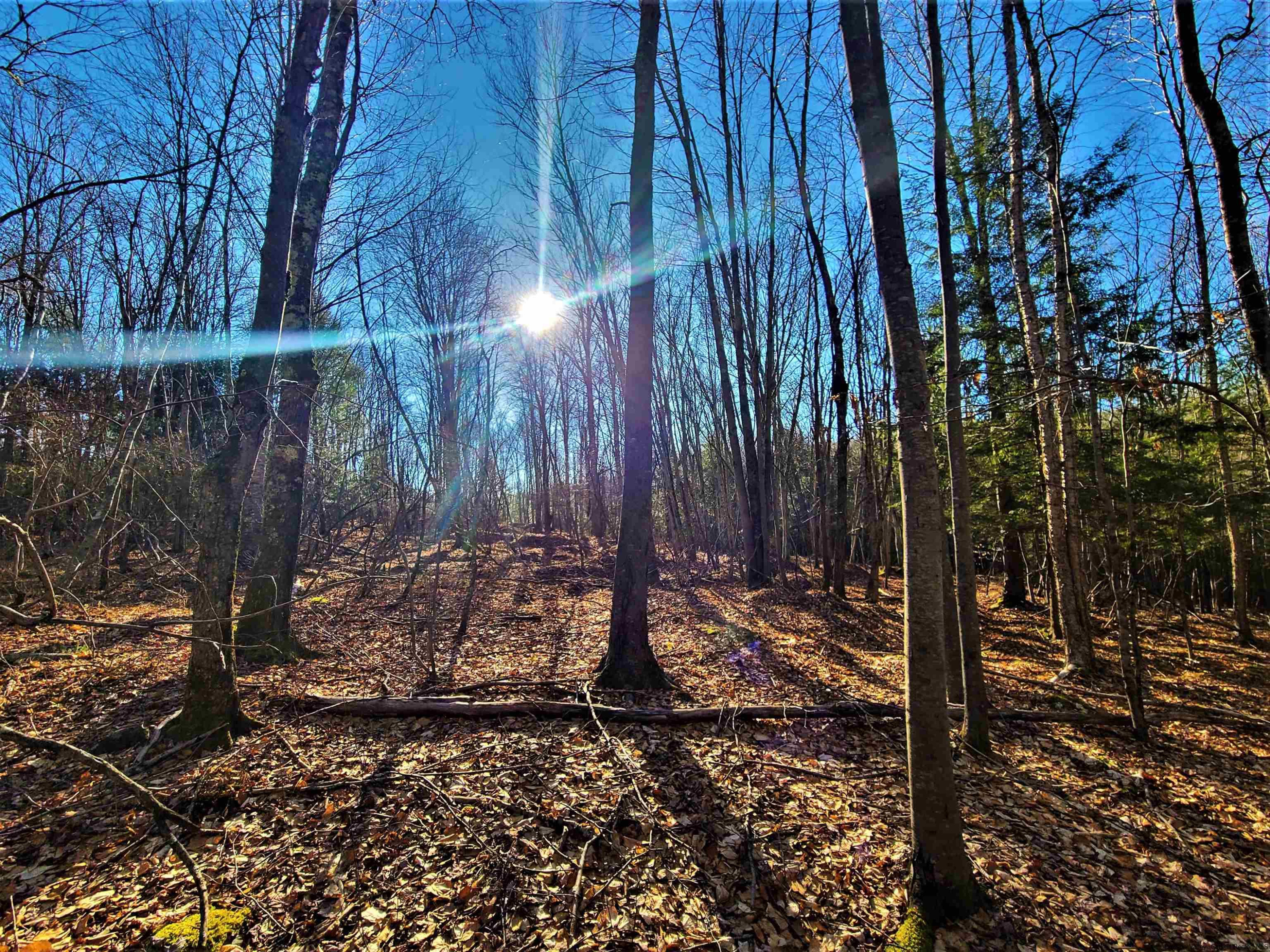 Tbd Tbd Fairweather Road Swan Lake, NY 12783 - Photo 12 of 21 a view of a backyard of the house