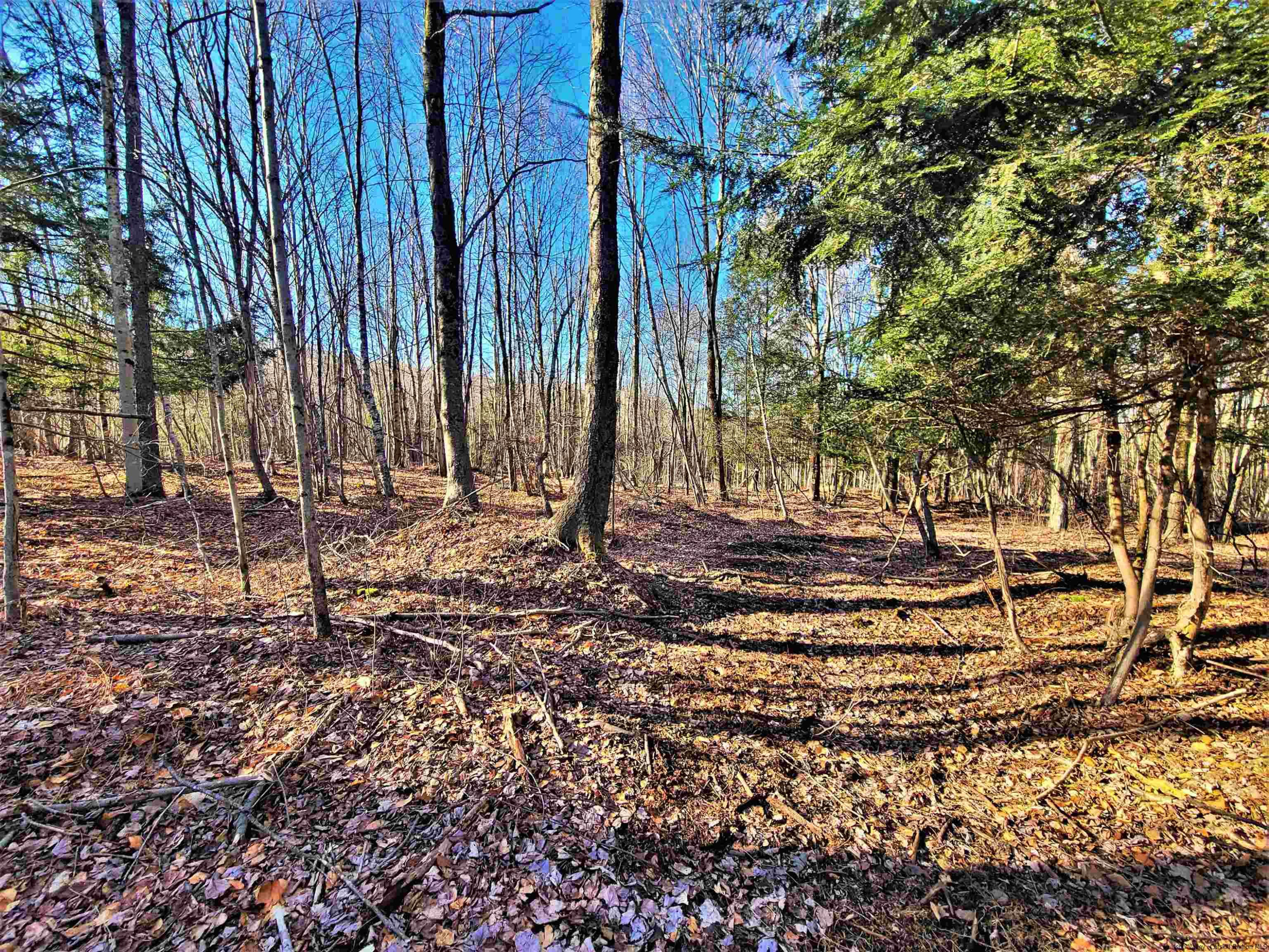 Tbd Tbd Fairweather Road Swan Lake, NY 12783 - Photo 13 of 21 a backyard of a house with lots of green space
