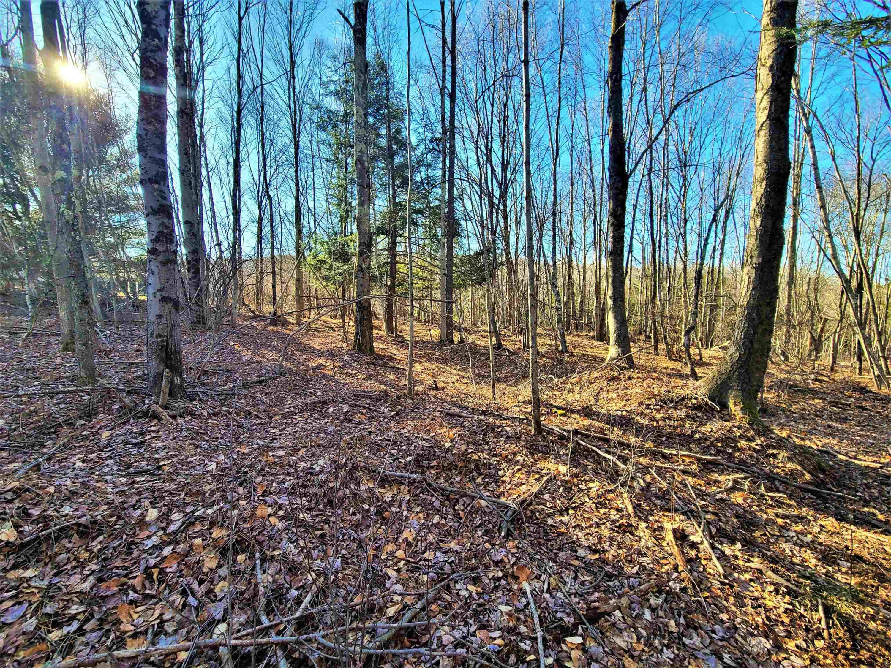 Tbd Tbd Fairweather Road Swan Lake, NY 12783 - Photo 14 of 21 a backyard of a house with lots of green space