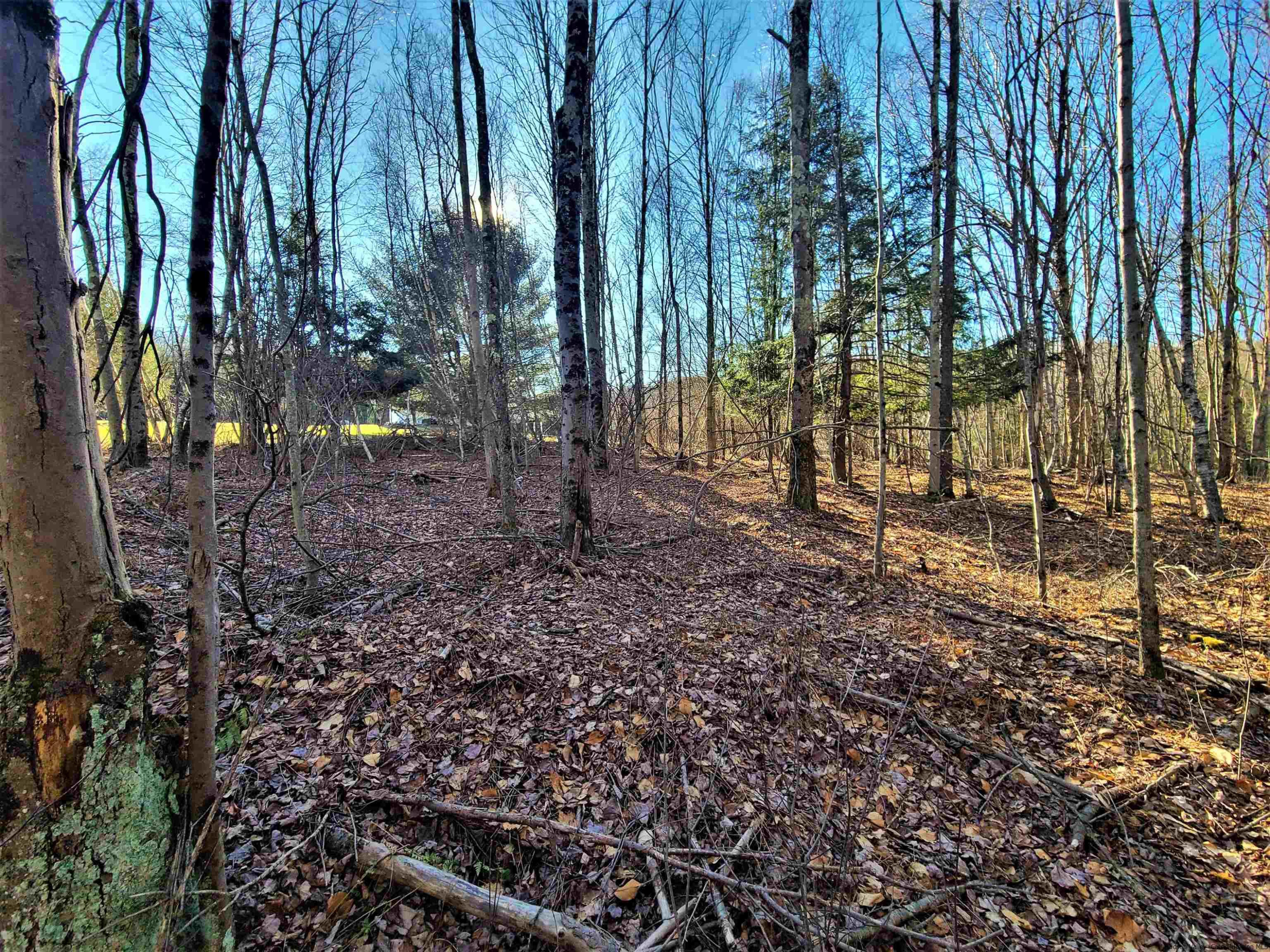 Tbd Tbd Fairweather Road Swan Lake, NY 12783 - Photo 15 of 21 a backyard of a house with lots of green space