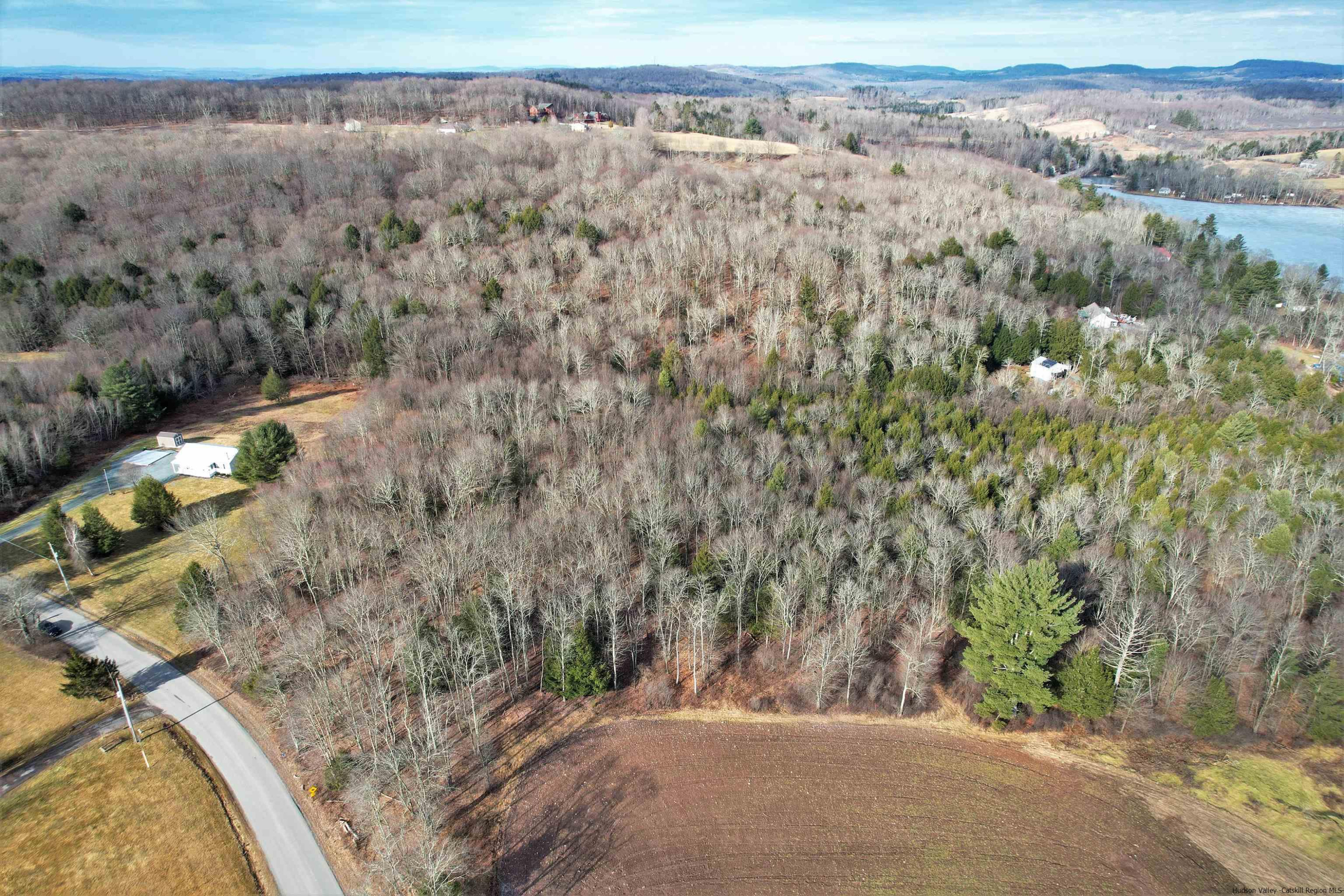 Tbd Tbd Fairweather Road Swan Lake, NY 12783 - Photo 20 of 21 a view of a yard with a tree